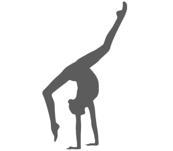 GYMNASTICS ( RHYTHMIC, ARTISTIC ,TRAMPOLINE ) 